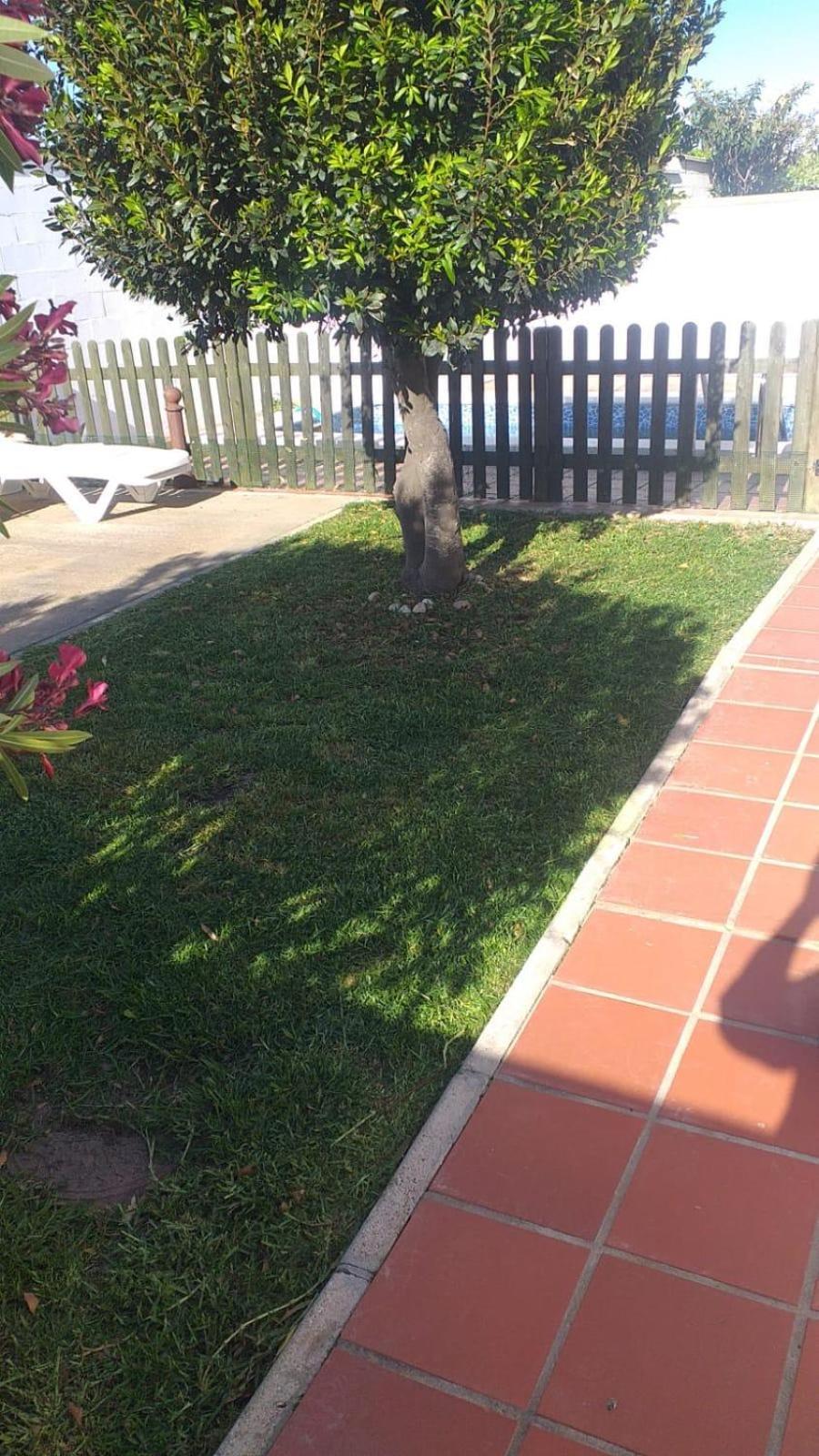 فيلا Bellavista De Conil كونيل ذي لا فرونتيرا المظهر الخارجي الصورة